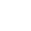 toggle password